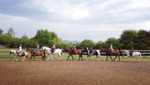 Poniji s klanca Inkluzivni park