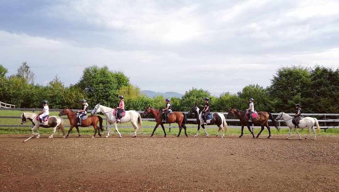 Poniji s klanca Inkluzivni park
