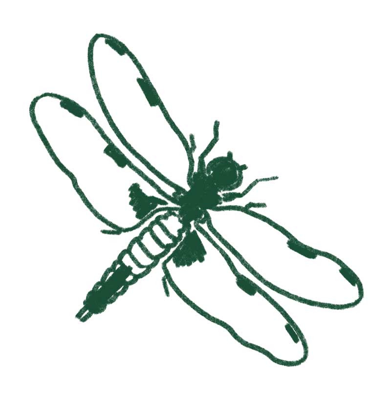 Poniji s klanca kačji pastir