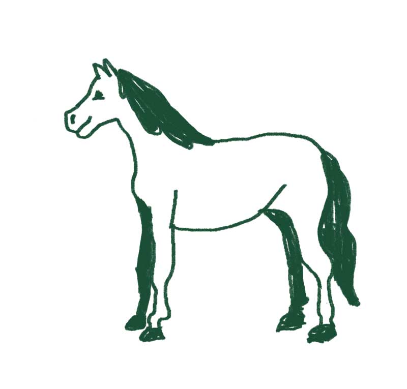 Poniji s klanca konj